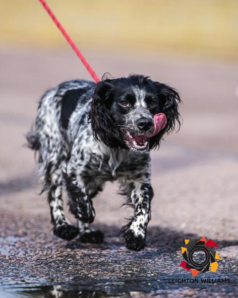 2025-06-07PR302-00015-97580