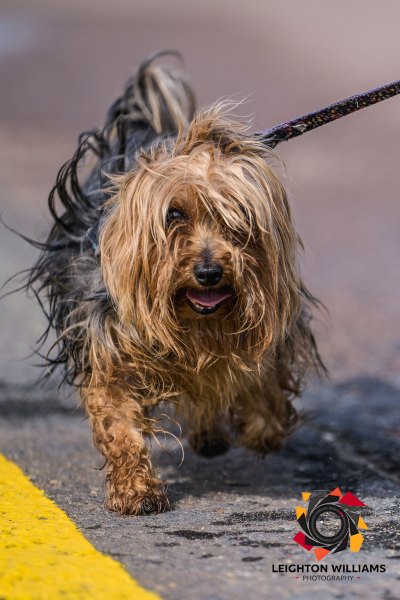 2025-06-07PR302-00017-97842